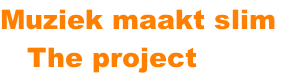 Muziek maakt slim     The project